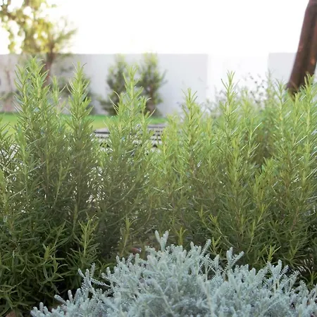 Graca Garden * 리스본